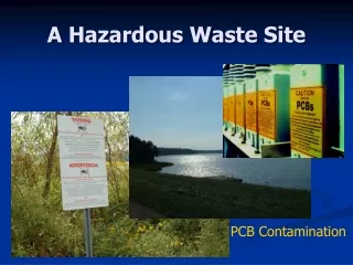 A Hazardous Waste Site