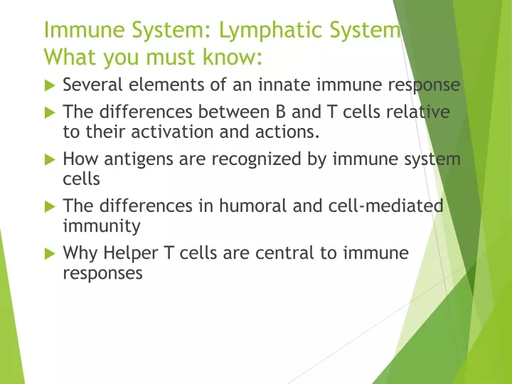 immune system lymphatic system what you must know