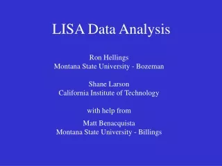 LISA Data Analysis