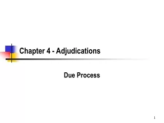 Chapter 4 - Adjudications