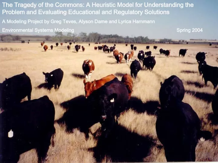 the tragedy of the commons a heuristic model
