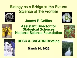 James P. Collins Assistant Director for Biological Sciences National Science Foundation