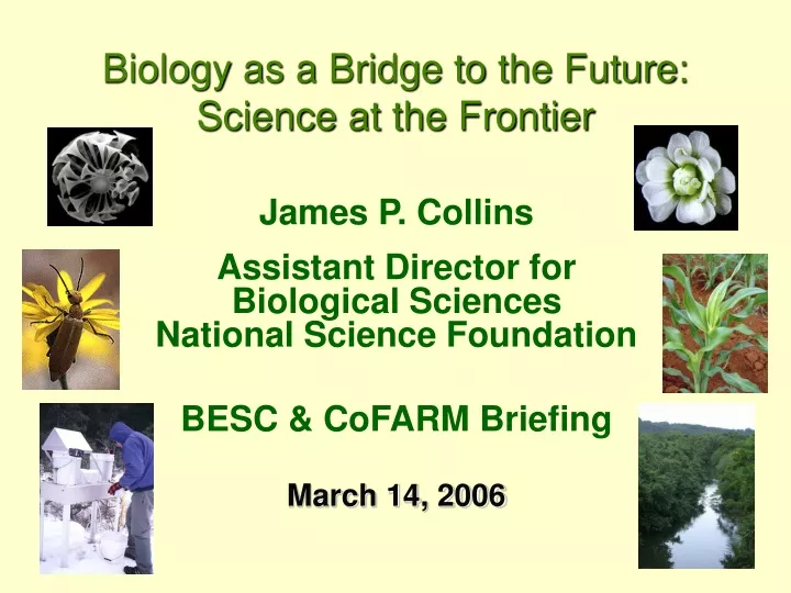 biology as a bridge to the future science