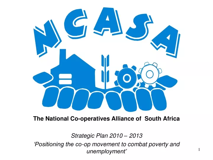 the national co operatives alliance of south