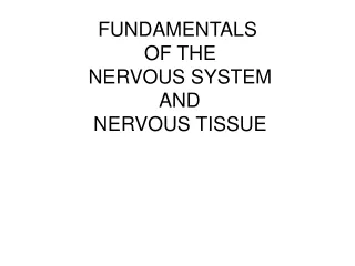 FUNDAMENTALS  OF THE  NERVOUS SYSTEM  AND  NERVOUS TISSUE