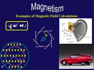 Examples of Magnetic Field Calculations