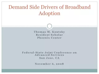 Demand Side Drivers of Broadband Adoption