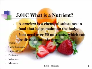 5.01C What is a Nutrient?