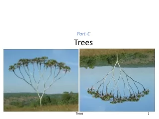 Part-C Trees