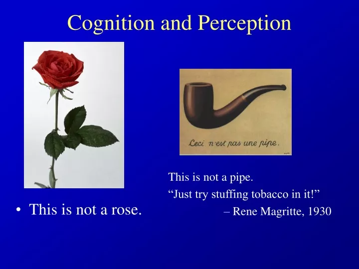 cognition and perception