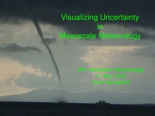 Visualizing Uncertainty in Mesoscale Meteorology