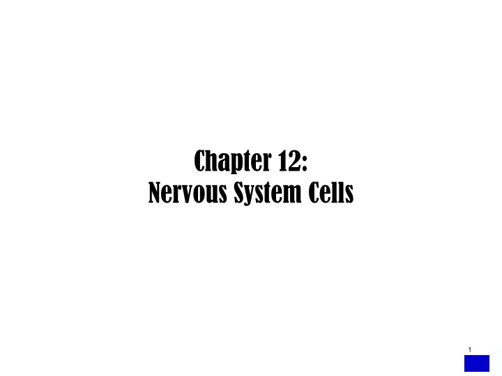 chapter 12 nervous system cells