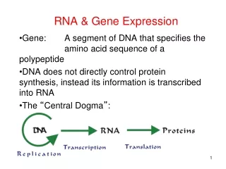 RNA &amp; Gene Expression