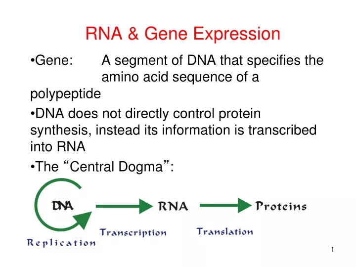 rna gene expression