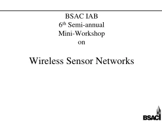 BSAC IAB 6 th  Semi-annual Mini-Workshop  on Wireless Sensor Networks