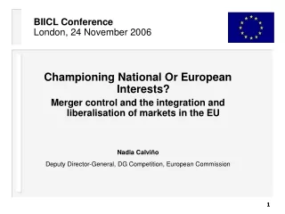 BIICL Conference London, 24 November 2006