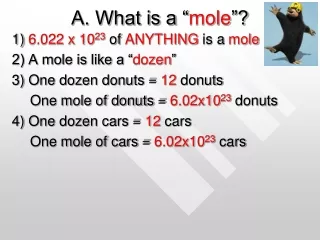 A. What is a “ mole ”?
