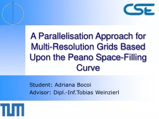 A Parallelisation Approach for Multi-Resolution Grids Based Upon the Peano Space-Filling Curve