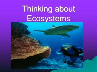 Thinking about Ecosystems