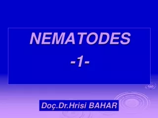 NEMATODES -1-