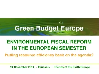 Green Budget Europe  ENVIRONMENTAL FISCAL REFORM  IN THE EUROPEAN SEMESTER