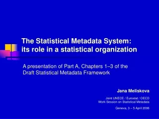 The  Statistical Metadata  System:  its role in a statistical organization