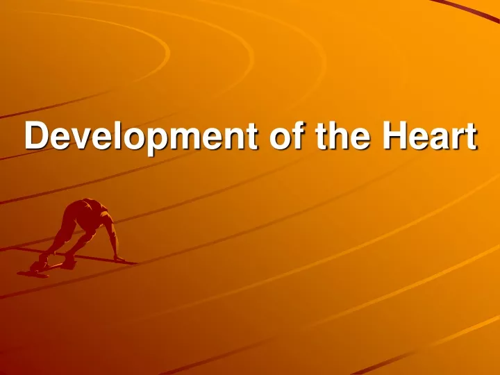 development of the heart