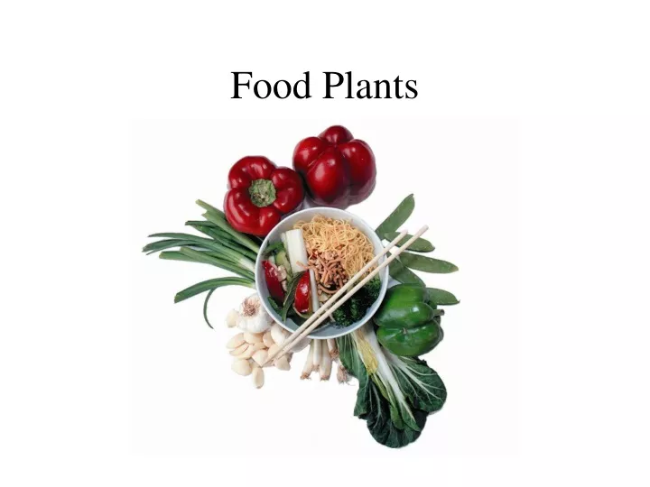 food plants