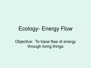 Ecology- Energy Flow