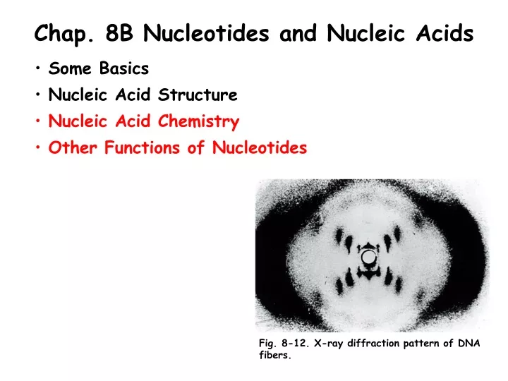 chap 8b nucleotides and nucleic acids