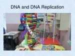 DNA and DNA Replication - slide 1