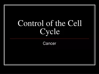 Control of the Cell Cycle