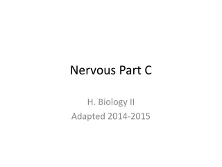 Nervous Part C