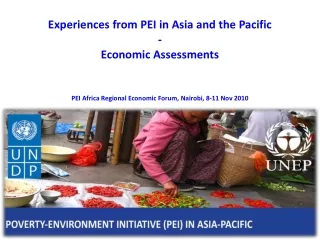 Experiences from PEI in Asia and the Pacific  - Economic Assessments