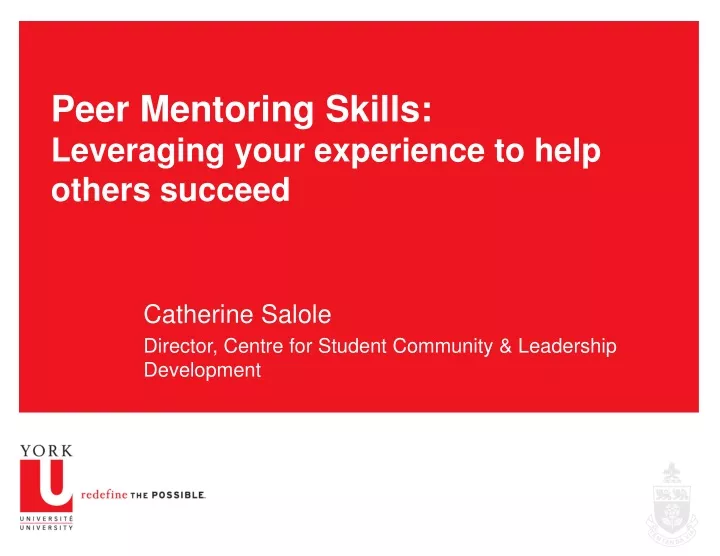 peer mentoring skills leveraging your experience to help others succeed