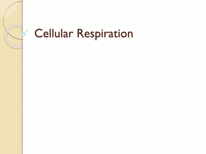 cellular respiration