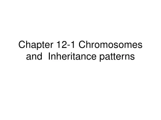 Chapter 12-1 Chromosomes and  Inheritance patterns