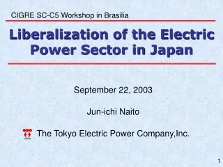 Liberalization of the Electric Power Sector in Japan