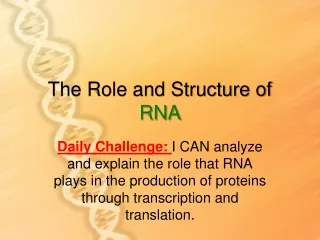 The Role and Structure of  RNA