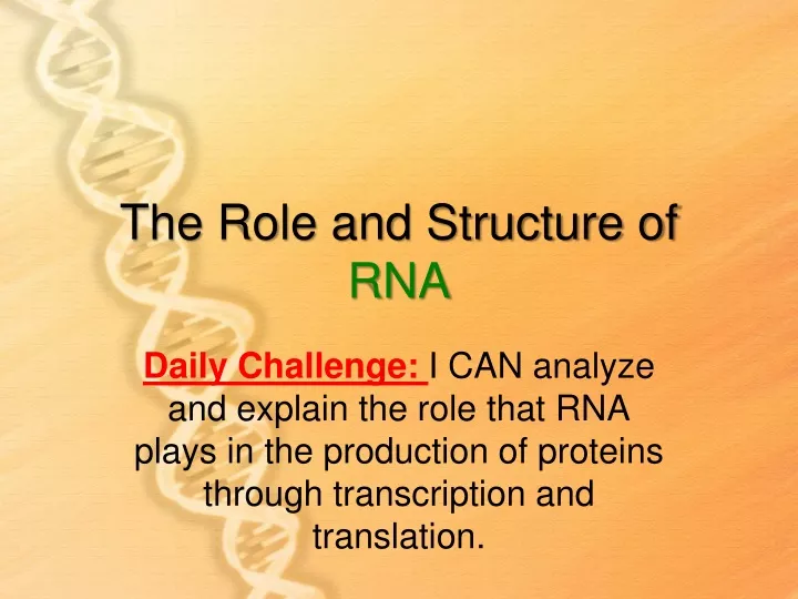 the role and structure of rna