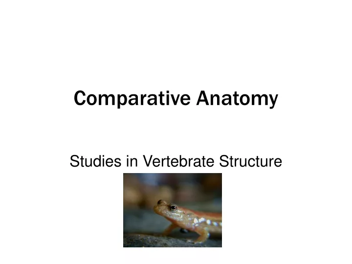 comparative anatomy