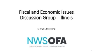 Fiscal and Economic Issues Discussion Group - Illinois