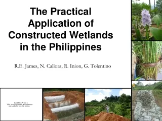 The Practical Application of Constructed Wetlands in the Philippines