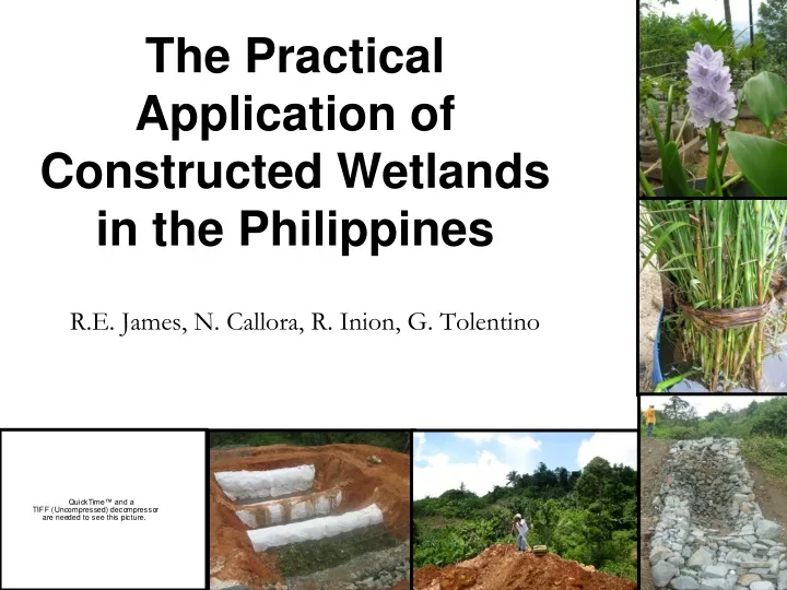 the practical application of constructed wetlands in the philippines