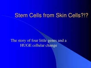 Stem Cells from Skin Cells?!?