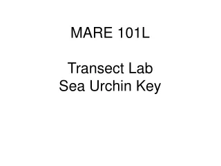 MARE 101L Transect Lab Sea Urchin Key