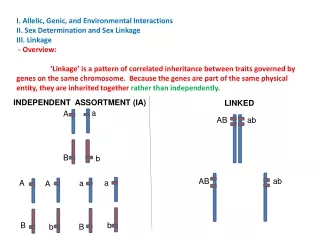 I. Allelic, Genic, and Environmental Interactions II. Sex Determination and Sex Linkage