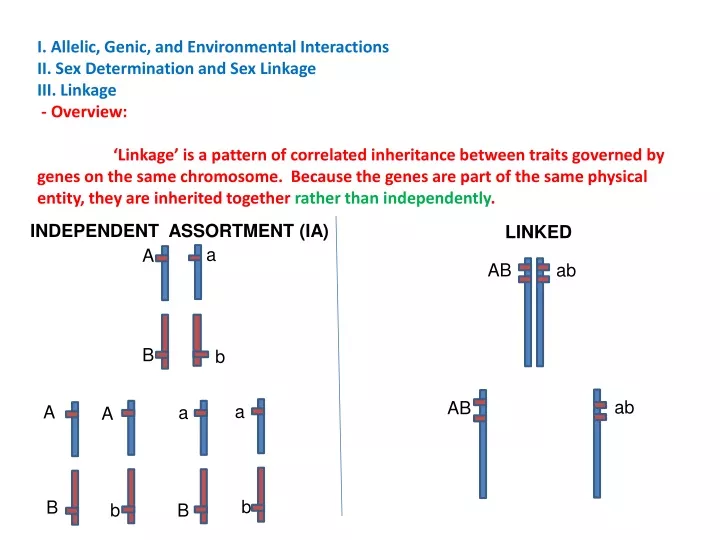 i allelic genic and environmental interactions