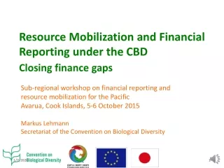 Resource Mobilization and Financial Reporting under the CBD  Closing finance gaps