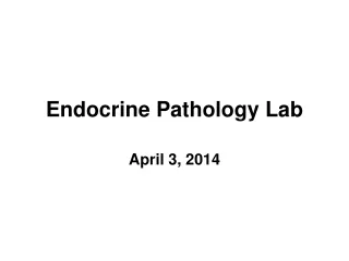 Endocrine Pathology Lab